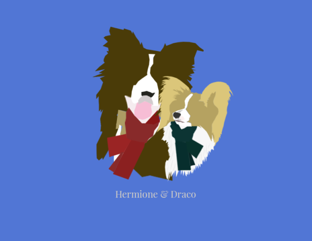Hermione - Draco w type